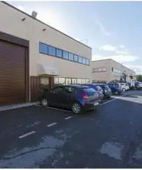 Affitto Magazzino in Via degli Olmetti - 5