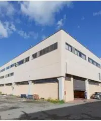 Affitto Magazzino in Via degli Olmetti - 7