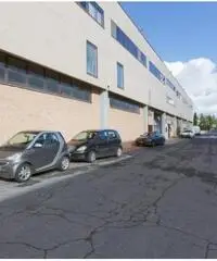 Affitto Magazzino in Via degli Olmetti - 8