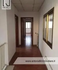 Albano Laziale -  Capannone 9 locali € 3.000 CA902 - 2