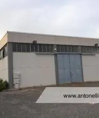 Albano Laziale -  Capannone 9 locali € 3.000 CA902 - 10