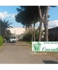 Guidonia: Vendita Capannone in Via Nazionale Tiburtina - 3