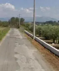 Macere: Vendita Capannone in Contrada Colle dei Fiori - 2