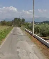 Macere: Vendita Capannone in Contrada Colle dei Fiori - 4