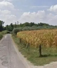 Macere: Vendita Capannone in Contrada Colle dei Fiori - 5