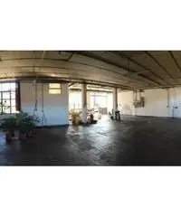 Capannone industriale/artigianale con ufficio/appartamento - 9