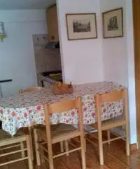 Appartamento di 1 locali in Affitto - 5
