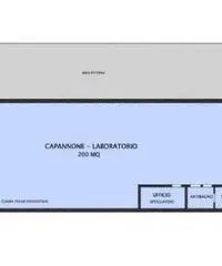 Vendita capannone mq. 220 - Molinella - 2