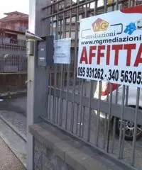 Affitto Magazzino in Via Carrata - 3