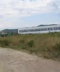 Capannone industriale in vendita a RIOTORTO - Piombino 4500 mq  Rif: 152048 - 2