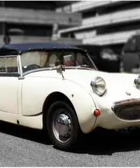 Austin Healey Sprite MK I 1959, Iscritta ASI