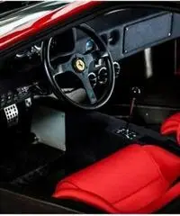 Ferrari F40 cat - 2