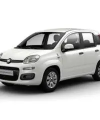 FIAT New Panda 12 69cv e6 pandazzurri rif. 7189202