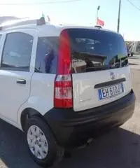 FIAT Panda 1.2 Active GPL rif. 7178305 - 5