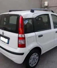 Fiat Panda 1.2 Active - 5