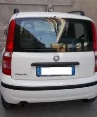 Fiat Panda 1.2 Active - 7