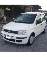 Fiat Panda 1.2 dynamic - 2