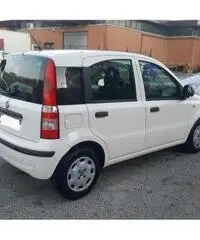 Fiat Panda 1.2 dynamic - 3