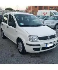 Fiat Panda 1.2 dynamic - 4