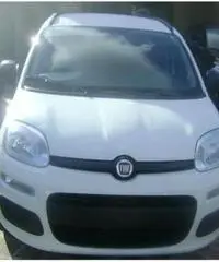 Fiat Panda 1.2  EASY NUOVA UFFICIALE FIAT - 4