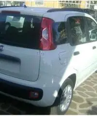 Fiat Panda 1.2  EASY NUOVA UFFICIALE FIAT - 5