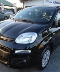 FIAT Panda 1.2 Lounge km 5500 rif. 7175589 - 3