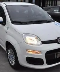 FIAT Panda 1.2 Pandazzurri NUOVA - PREZZO PROMO!!! rif. 7189506 - 3