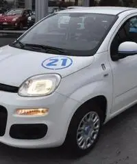 FIAT Panda 1.2 Pandazzurri NUOVA - PREZZO PROMO!!! rif. 7189506 - 4