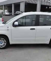 FIAT Panda 1.2 Pandazzurri NUOVA - PREZZO PROMO!!! rif. 7189506 - 6