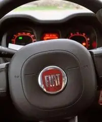 FIAT Panda 1.2 Pandazzurri NUOVA - PREZZO PROMO!!! rif. 7189506 - 10