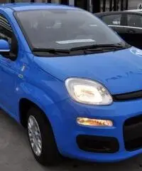 FIAT Panda 1.2 Pandazzurri NUOVA - PREZZO PROMO!!! rif. 7189508 - 2