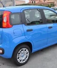 FIAT Panda 1.2 Pandazzurri NUOVA - PREZZO PROMO!!! rif. 7189508 - 6