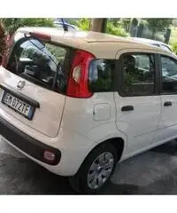 autovettura fiat panda - 2