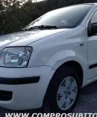 FIAT Panda 1.2 Dynamic rif. 7196110 - 3