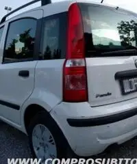 FIAT Panda 1.2 Dynamic rif. 7196110 - 6