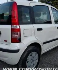 FIAT Panda 1.2 Dynamic rif. 7196110 - 7