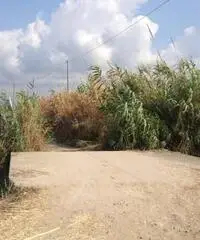 GIOIA TAURO VENDE: Terreno agricolo zona lungomare sud