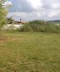 GIOIA TAURO VENDE: Terreno agricolo zona lungomare sud - 2