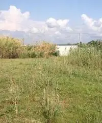 GIOIA TAURO VENDE: Terreno agricolo zona lungomare sud - 4