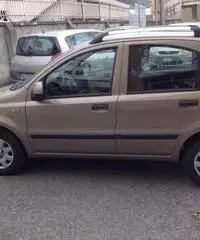 FIAT Panda 1.2 Dynamic Eco 39000 km con clima-radio-vetri el rif. 7166839 - 3