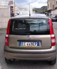 FIAT Panda 1.2 Dynamic Eco 39000 km con clima-radio-vetri el rif. 7166839 - 5