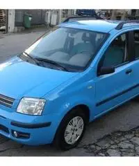 FIAT Panda 1.2 Dynamic rif. 7162248