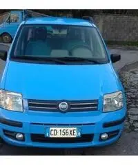 FIAT Panda 1.2 Dynamic rif. 7162248 - 2