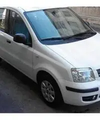 FIAT Panda 1.3 MJT 16V Dynamic rif. 7162296 - 3