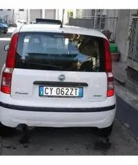 FIAT Panda 1.3 MJT 16V Dynamic rif. 7162296 - 5