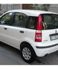 FIAT Panda 1.3 MJT 16V Dynamic rif. 7162296 - 6