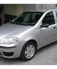 FIAT Punto 1.3 Multijet 16V 5 porte Actual rif. 7162255