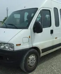 FIAT Ducato PASSO MEDIO TETTO ALTO - TRASPORTO DISABILI  rif. 5417880 - 2