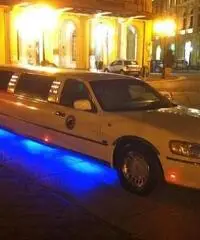 Lincoln Town CAR Limousine - 2