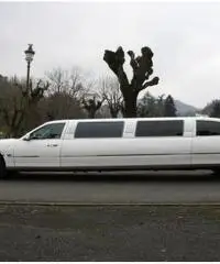 Lincoln Town CAR Limousine - 4